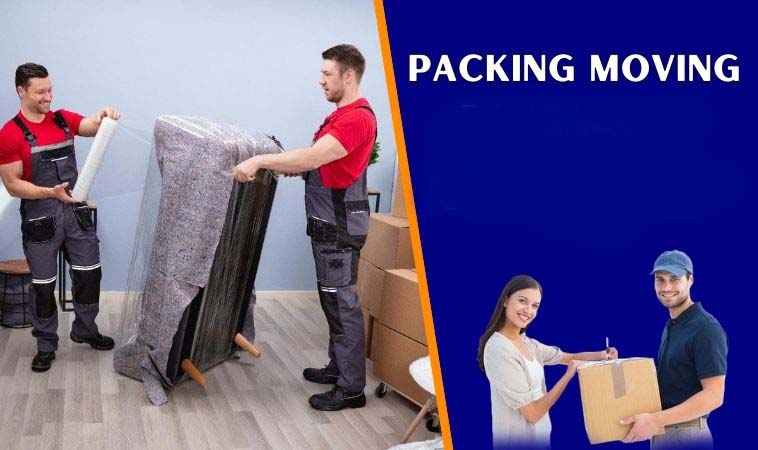 Packing and Moving Service in Pune